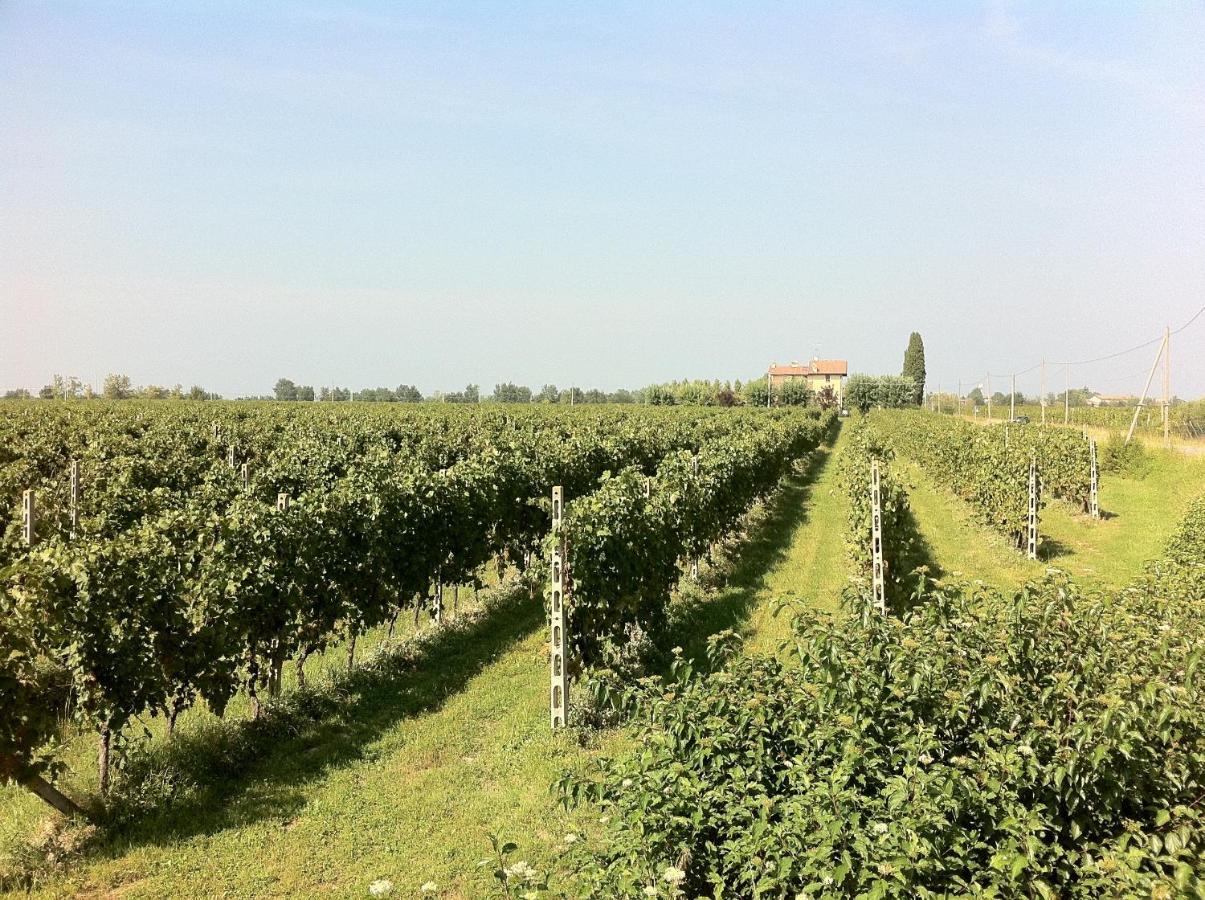 Cascina Tabachera X10 Country House Sirmione Garda Lake Pozzolengo Værelse billede